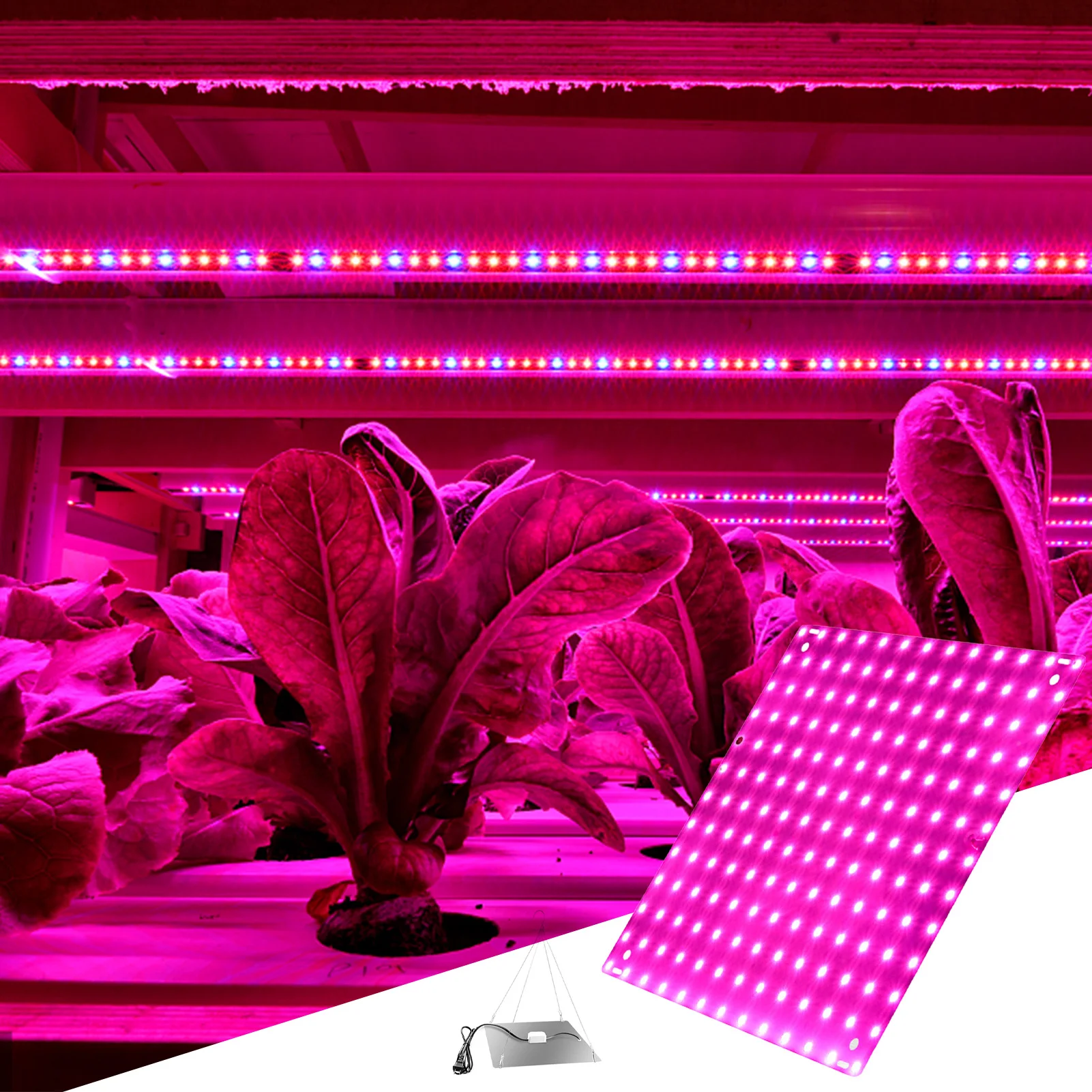 LED Grow Light Red And Blue Spectrum Plant Light Indoor Plant Grow Lamp Excellent Heat Dissipation Design Durable Grow Lamp For
LED Grow Light Red And Blue Spectrum Plant Light Indoor Plant Grow Lamp Excellent Heat Dissipation Design Durable Grow Lamp For