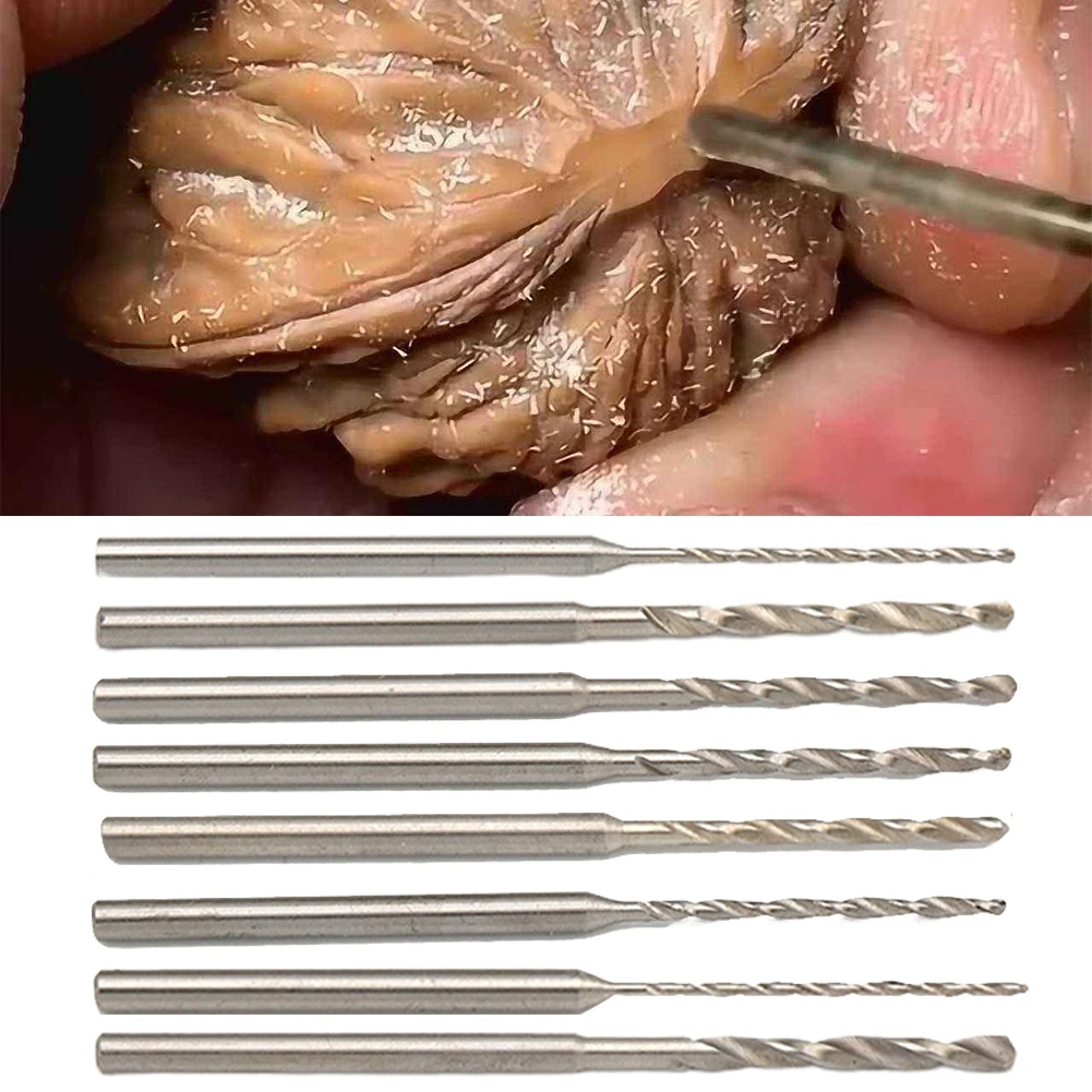 1Pc 2.35mm Cordless Screwdriver Drill Shank Straight Handle Carpentry Tools Hss Drill Bit 0.8-2.0mm For Drilling Wood Jin Gang
1Pc 2.35mm Cordless Screwdriver Drill Shank Straight Handle Carpentry Tools Hss Drill Bit 0.8-2.0mm For Drilling Wood Jin Gang