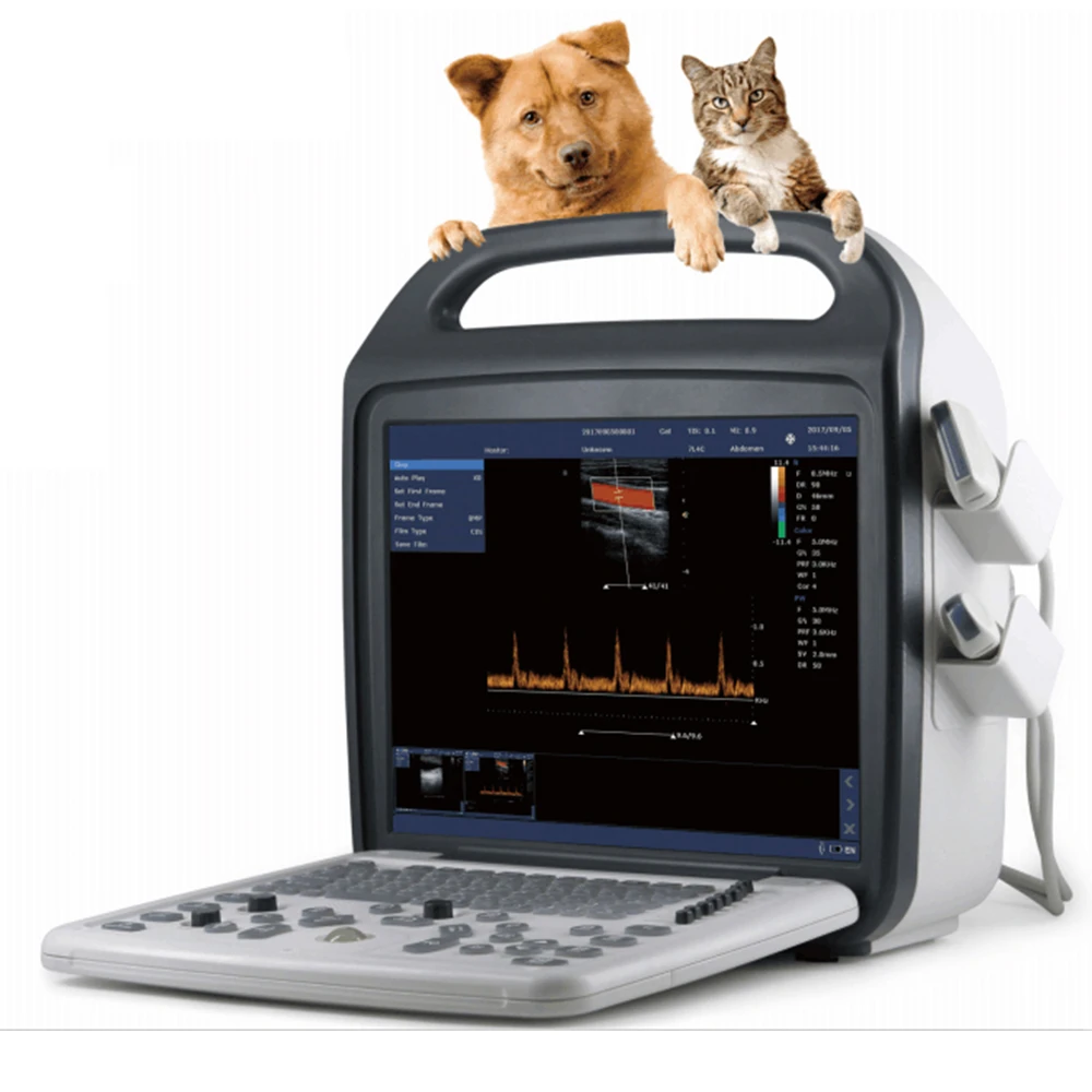 Mayamed VET Full Digital Color Doppler Ultrasonic Diagnostic Instruments Portable Veterinary Ultrasound Machine
Mayamed VET Full Digital Color Doppler Ultrasonic Diagnostic Instruments Portable Veterinary Ultrasound Machine