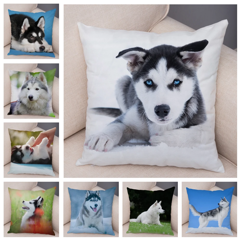 Decor Cute Siberian Husky Pillowcase Pet Dog Printed Super Soft Short Plush Pillow Case 45*45cm Animal Cushion Cover for Sofa
Decor Cute Siberian Husky Pillowcase Pet Dog Printed Super Soft Short Plush Pillow Case 45*45cm Animal Cushion Cover for Sofa