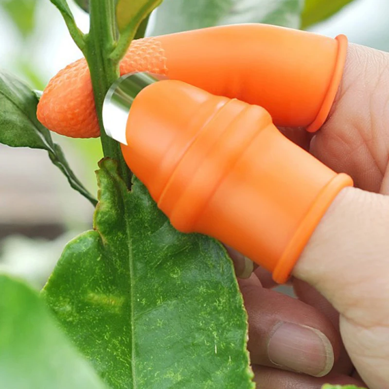 Finger Tool Multifunction Kitchen Cutter Vegetables Separator Thumb Cutter Gardening Tools Pruning Shears Garden Picking Plant
Finger Tool Multifunction Kitchen Cutter Vegetables Separator Thumb Cutter Gardening Tools Pruning Shears Garden Picking Plant