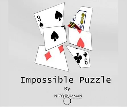 2021 Impossible Puzzle by Nico Guaman , Magic Tricks