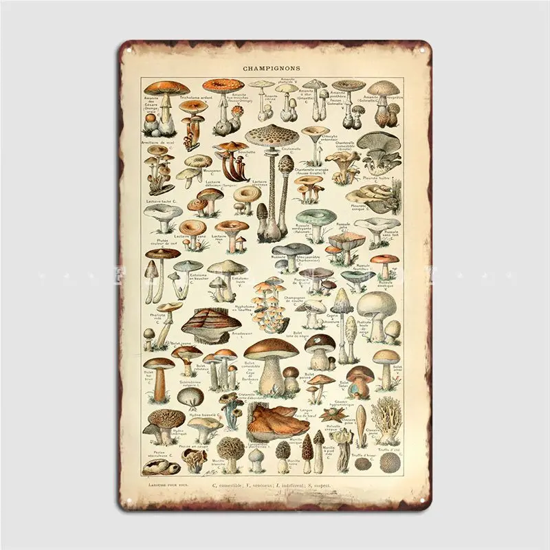 Adolphe Millot Mushrooms Metal Sign Create Party Wall Cave Poster Tin Sign Poster
Adolphe Millot Mushrooms Metal Sign Create Party Wall Cave Poster Tin Sign Poster