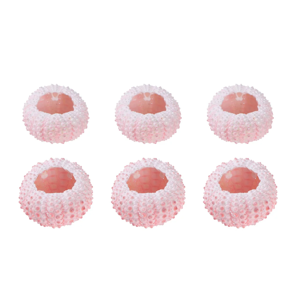 6 Pcs Miniture Decoration Shell Pot Glass Decor Sea Urchin Air Glass Terrariums Plants Ocean Sea Shell Container
6 Pcs Miniture Decoration Shell Pot Glass Decor Sea Urchin Air Glass Terrariums Plants Ocean Sea Shell Container