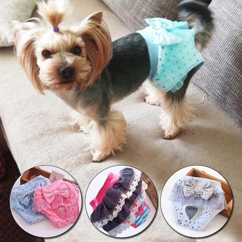 1Pc Pet Physiological Pants Dog Diapers Washable Female Dog Shorts Panties Menstrual Underwear Pet Panties
1Pc Pet Physiological Pants Dog Diapers Washable Female Dog Shorts Panties Menstrual Underwear Pet Panties