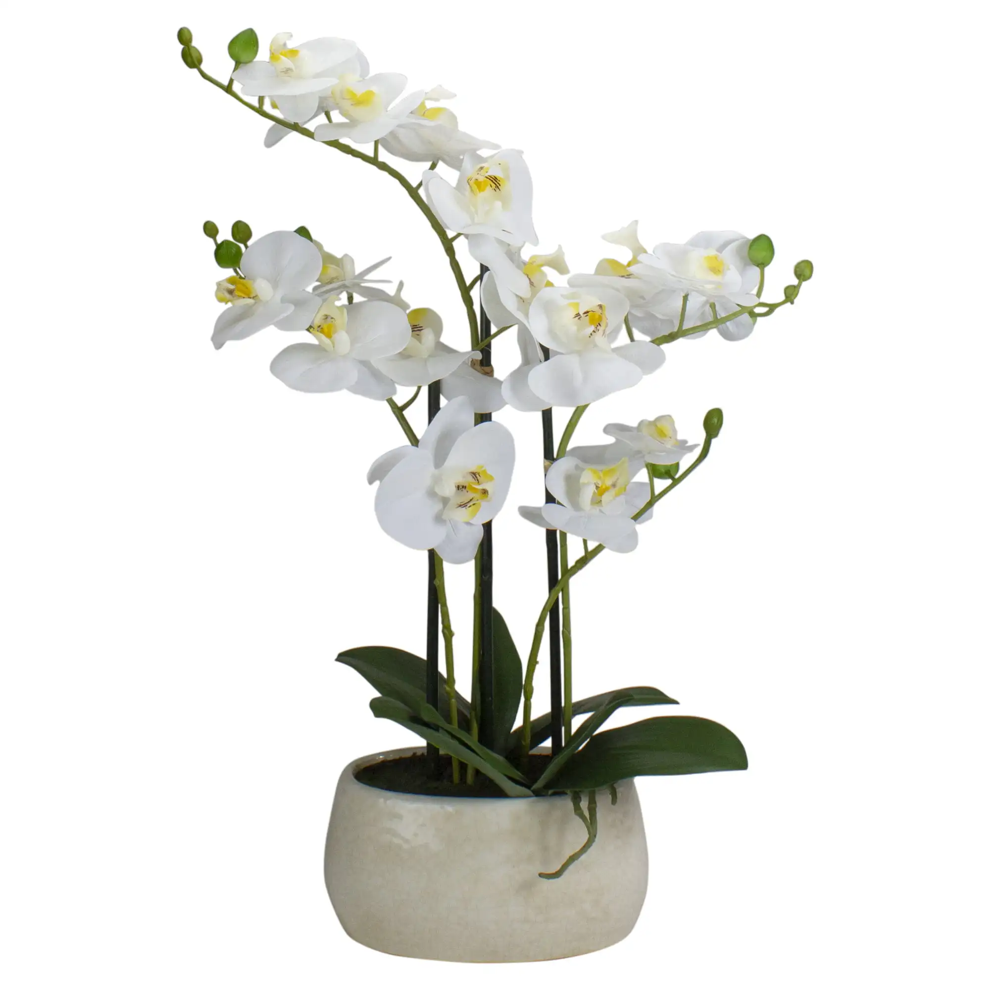 22" Artificial White and Yellow Orchid Plant With a White Oval Pot Tabletop Decor
22" Artificial White and Yellow Orchid Plant With a White Oval Pot Tabletop Decor