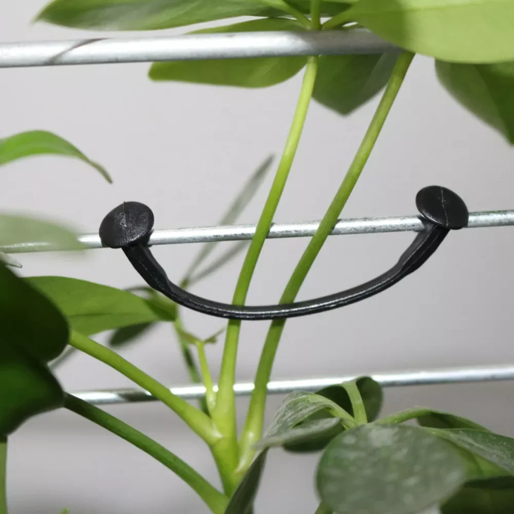1000Pcs Plant Vine Tied Buckle Kiwi Grape Vine Fastening Clip Vegetable Flower Fixed Lashing Hook Greenhouse Agriculture Supplie
1000Pcs Plant Vine Tied Buckle Kiwi Grape Vine Fastening Clip Vegetable Flower Fixed Lashing Hook Greenhouse Agriculture Supplie