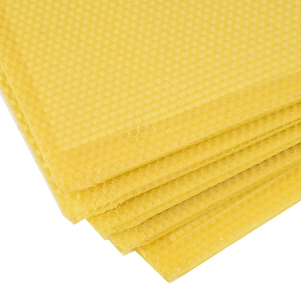 10pcs Comb foundation Beekeeping Equipment 200*415mm For Apis mellifera Apiculture Extractor Bees wax Practical Useful
10pcs Comb foundation Beekeeping Equipment 200*415mm For Apis mellifera Apiculture Extractor Bees wax Practical Useful