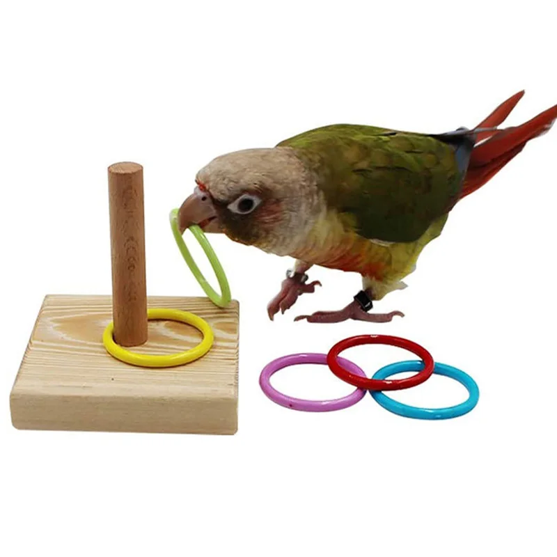 Bird Training Toys Set Wooden Block Puzzle Toys For Parrots Colorful Plastic Rings Intelligence Training Chew Toy Bird Supplies
Bird Training Toys Set Wooden Block Puzzle Toys For Parrots Colorful Plastic Rings Intelligence Training Chew Toy Bird Supplies