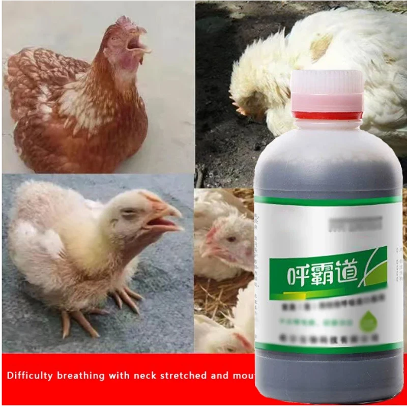 Chickens, ducks, geese, birds and pigeons with Huspeedba respiratory bronchus snoring strange call 250ml
Chickens, ducks, geese, birds and pigeons with Huspeedba respiratory bronchus snoring strange call 250ml