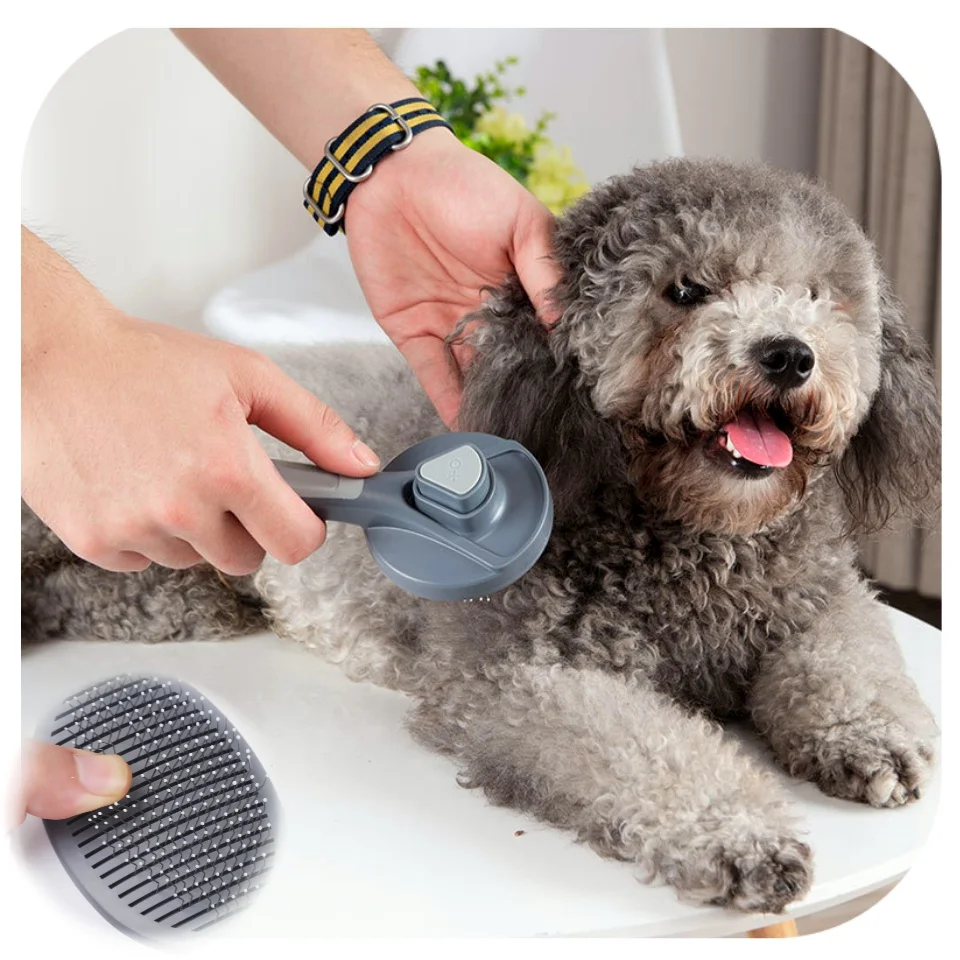 New Dog Brush Pet Grooming Brush for Dogs Remove Hair Pet Cat Hair Removal Comb Puppy Kitten Grooming Cleaning Accessories
New Dog Brush Pet Grooming Brush for Dogs Remove Hair Pet Cat Hair Removal Comb Puppy Kitten Grooming Cleaning Accessories