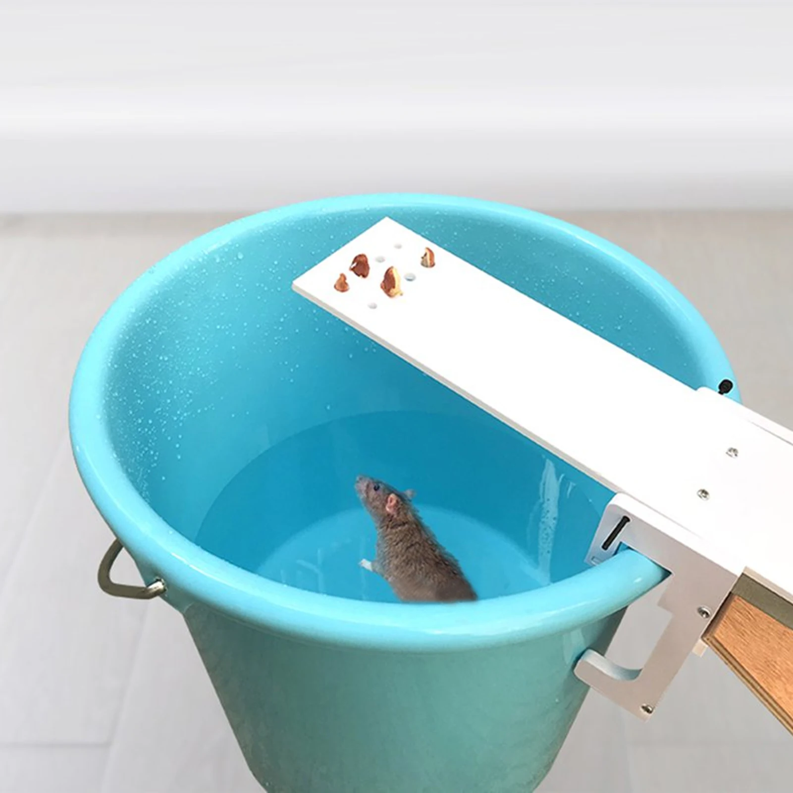 Seesaw Mouse Trap DIY Home Garden Mice Controller Mice Trap Quick Mouse Catcher Bait Traps Mice Mosquito Trap
Seesaw Mouse Trap DIY Home Garden Mice Controller Mice Trap Quick Mouse Catcher Bait Traps Mice Mosquito Trap