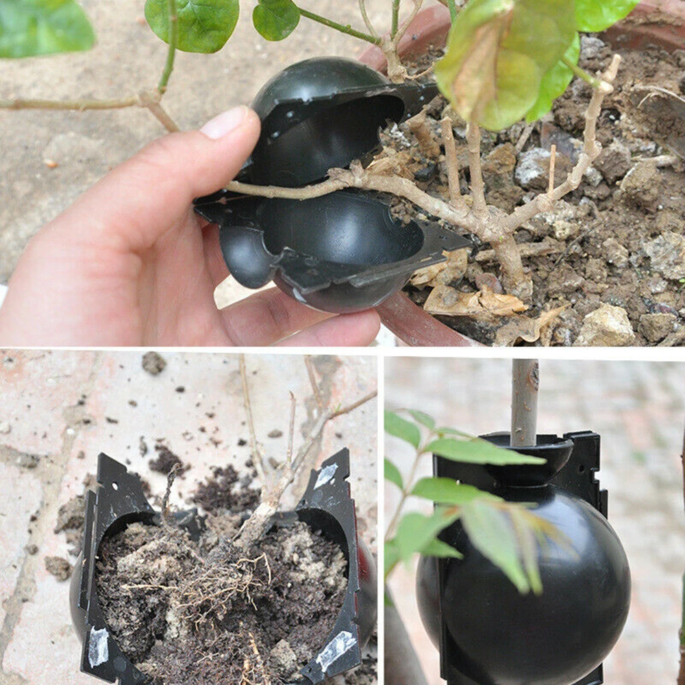 10x Plant Flower Graft Box Plant Care Products Rooting Equipment High Pressure Propagation Ball Garden Graft Box Black
10x Plant Flower Graft Box Plant Care Products Rooting Equipment High Pressure Propagation Ball Garden Graft Box Black