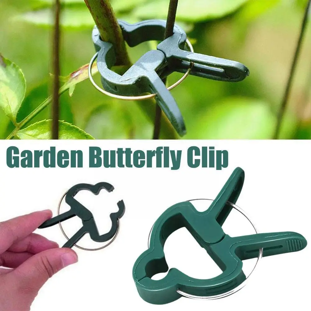 Plant Climbing Wall Fixer Leaf Type Vine Buckle Hook Plant Fixator Fix Stent Vine Invisible Rattan Self-Adhesive Clamp Clim I2J3
Plant Climbing Wall Fixer Leaf Type Vine Buckle Hook Plant Fixator Fix Stent Vine Invisible Rattan Self-Adhesive Clamp Clim I2J3