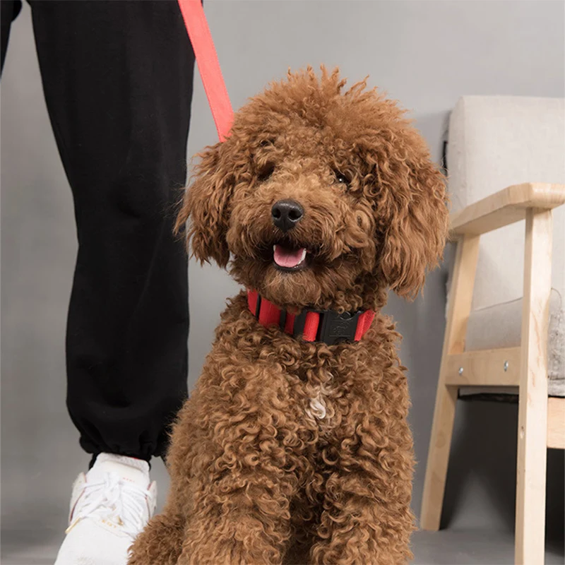 USB Charging/Battery replacement Led Dog Collar Anti-Lost Collar For Dogs Puppies Dog Collars Leads LED Supplies Pet Products
USB Charging/Battery replacement Led Dog Collar Anti-Lost Collar For Dogs Puppies Dog Collars Leads LED Supplies Pet Products
