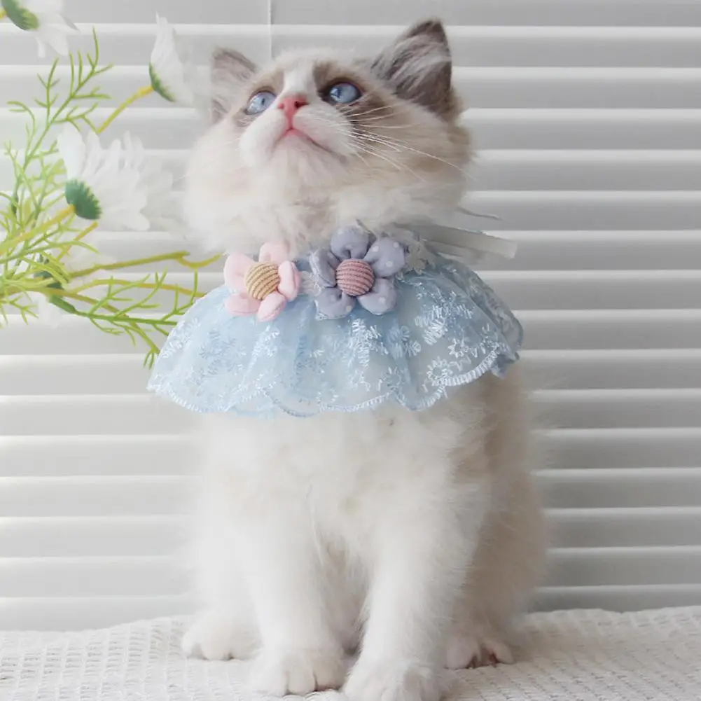 NEW Pet Cat Princess Style Lace Neck Collar Flower Decoration Puppy Neck Strap Pet Supplies For Puppy Kitten 
NEW Pet Cat Princess Style Lace Neck Collar Flower Decoration Puppy Neck Strap Pet Supplies For Puppy Kitten