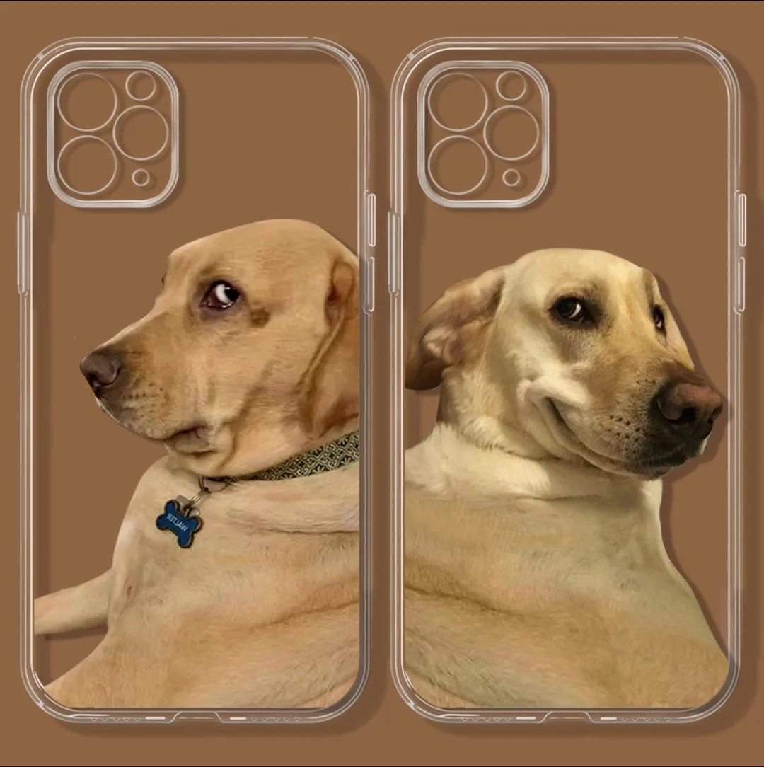 Transparent Phone Case for iPhone 14 13 12 11 Pro Max Mini XS XR X 7 8 Plus SE 2022 Funny Cute Dog Clear Cartoon Soft Back Cover
Transparent Phone Case for iPhone 14 13 12 11 Pro Max Mini XS XR X 7 8 Plus SE 2022 Funny Cute Dog Clear Cartoon Soft Back Cover