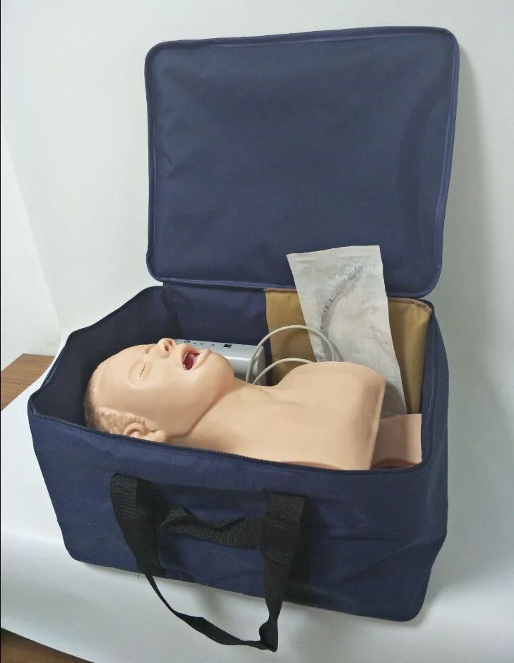 Intubation Manikin Study Teaching Model Airway Management Trainer PVC with Teeth
Intubation Manikin Study Teaching Model Airway Management Trainer PVC with Teeth