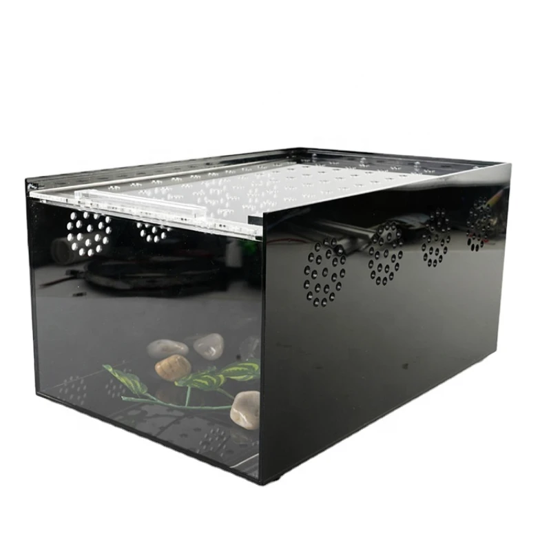 customizing professional Insect Cage Reptile Terrariums Sliding Cover Type Feeding Box
customizing professional Insect Cage Reptile Terrariums Sliding Cover Type Feeding Box