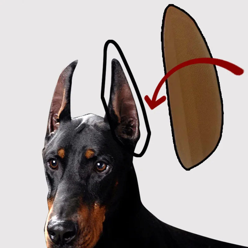 Ear Stand Up Sticker Ear Erector Dog Supplies Pet Standing Ear Correction Convenient Safety Effective Ear Care Tools 
Ear Stand Up Sticker Ear Erector Dog Supplies Pet Standing Ear Correction Convenient Safety Effective Ear Care Tools
