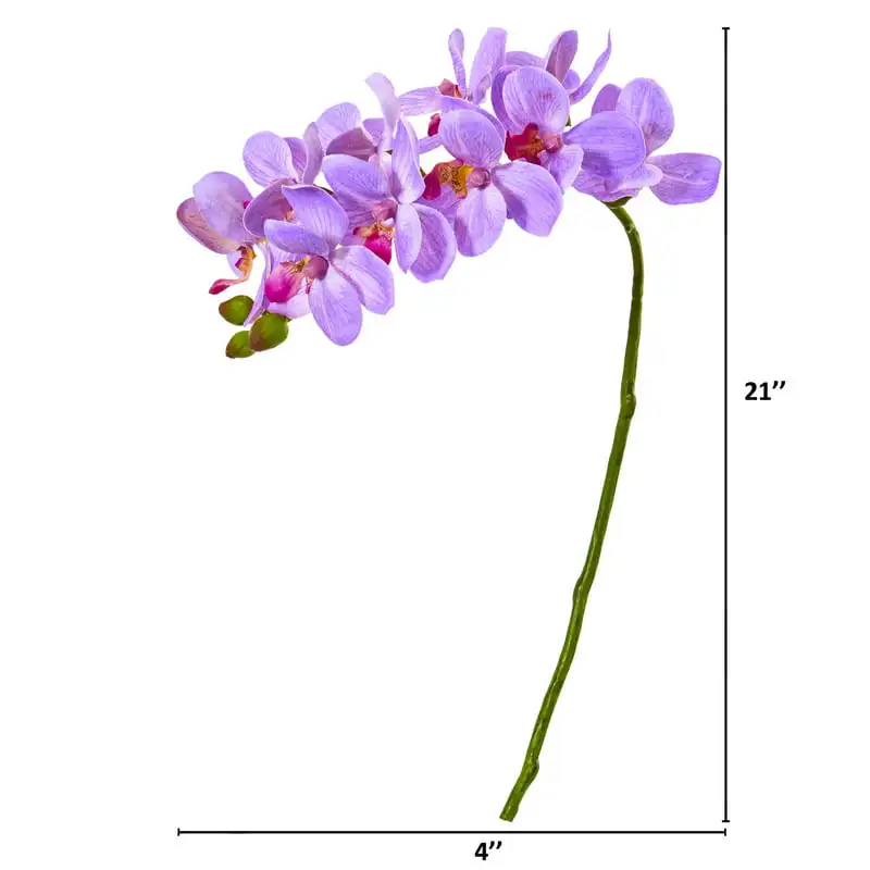 Elegant Purple Phalaenopsis Orchid Artificial Flowers (Set of 6), Ideal for Home Deco, Decoration & Arrangement
Elegant Purple Phalaenopsis Orchid Artificial Flowers (Set of 6), Ideal for Home Deco, Decoration & Arrangement
