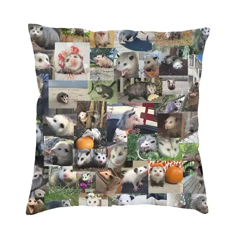 Модная декоративная наволочка для подушки Ultimate opossum, квадратная наволочка для подушки с животными, 45x45 см, наволочка для дивана
Модная декоративная наволочка для подушки Ultimate opossum, квадратная наволочка для подушки с животными, 45x45 см, наволочка для дивана