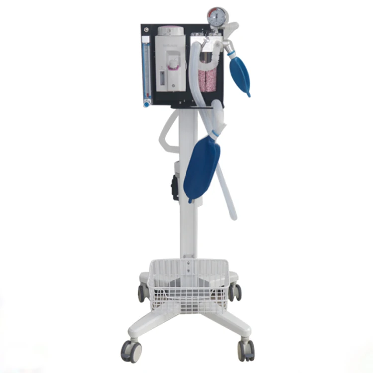Hacemey Pet clinic and hospital Emergency Anesthesia Equipment portable anesthesia machine manufacturer for sale
Hacemey Pet clinic and hospital Emergency Anesthesia Equipment portable anesthesia machine manufacturer for sale