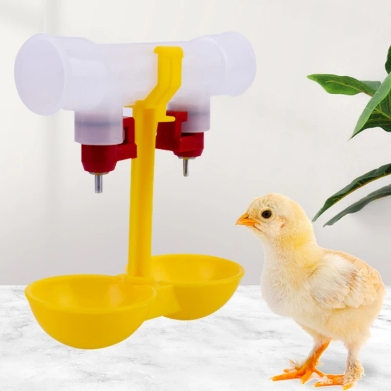 Chicken Feeder Farming Equipment Chicken Waterer Double Nipple Drinker Mouth Drinking Hanging Cups Quail Coop Chicken Waterer
Chicken Feeder Farming Equipment Chicken Waterer Double Nipple Drinker Mouth Drinking Hanging Cups Quail Coop Chicken Waterer