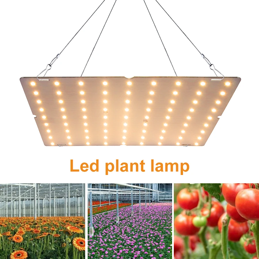 81/169 LED Grow Light Full Spectrum Powerful Phyto Lamp Plant Seeds For Indoor Seeds Flowers Vegetables Lamp Plant Growing Light
81/169 LED Grow Light Full Spectrum Powerful Phyto Lamp Plant Seeds For Indoor Seeds Flowers Vegetables Lamp Plant Growing Light