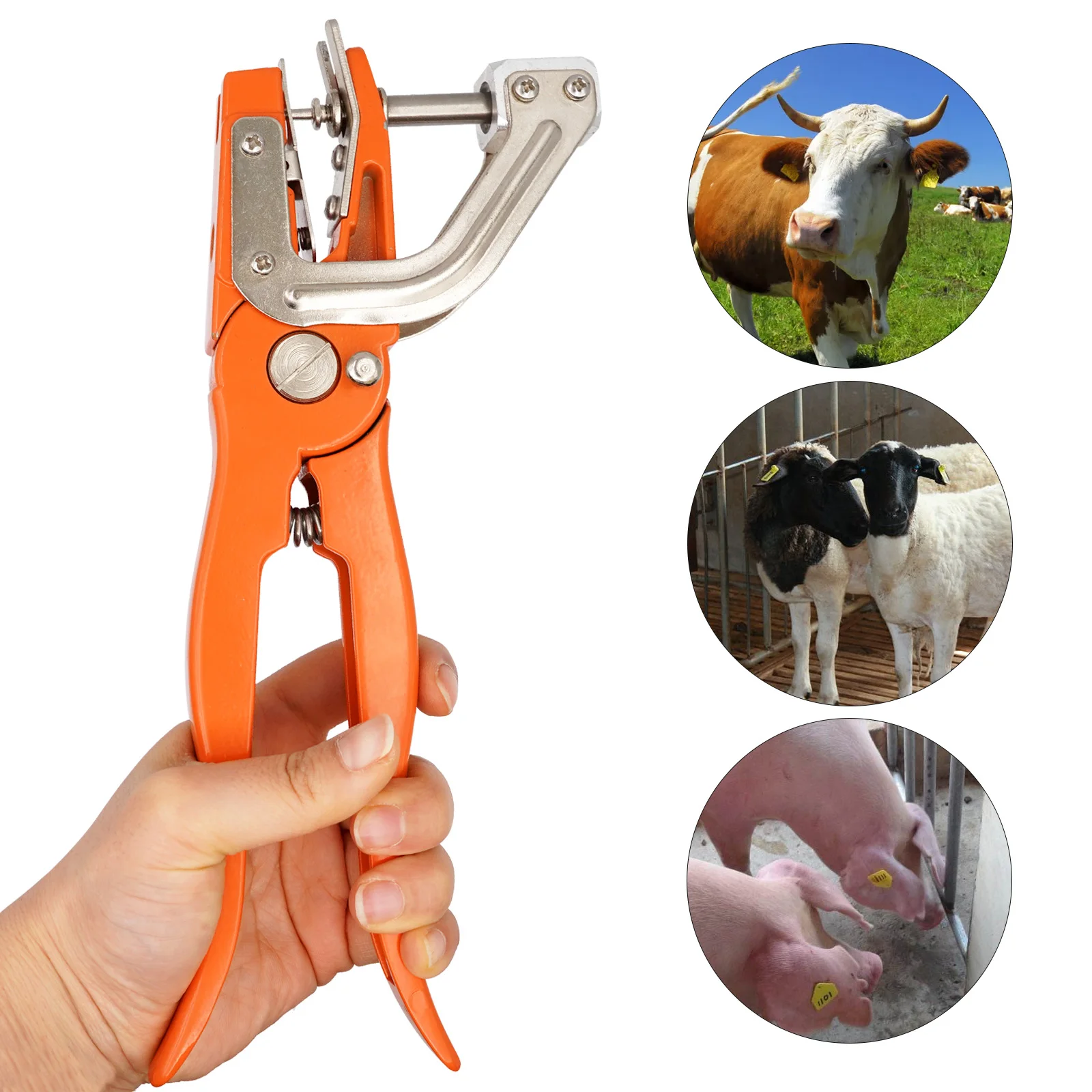 1Pcs Cow Goat Ear tag Pliers Practical Ear Tag Cutter Pliers Livestock Metal Goat Ear Tag Animal Tool Plier Forcep Applicator
1Pcs Cow Goat Ear tag Pliers Practical Ear Tag Cutter Pliers Livestock Metal Goat Ear Tag Animal Tool Plier Forcep Applicator
