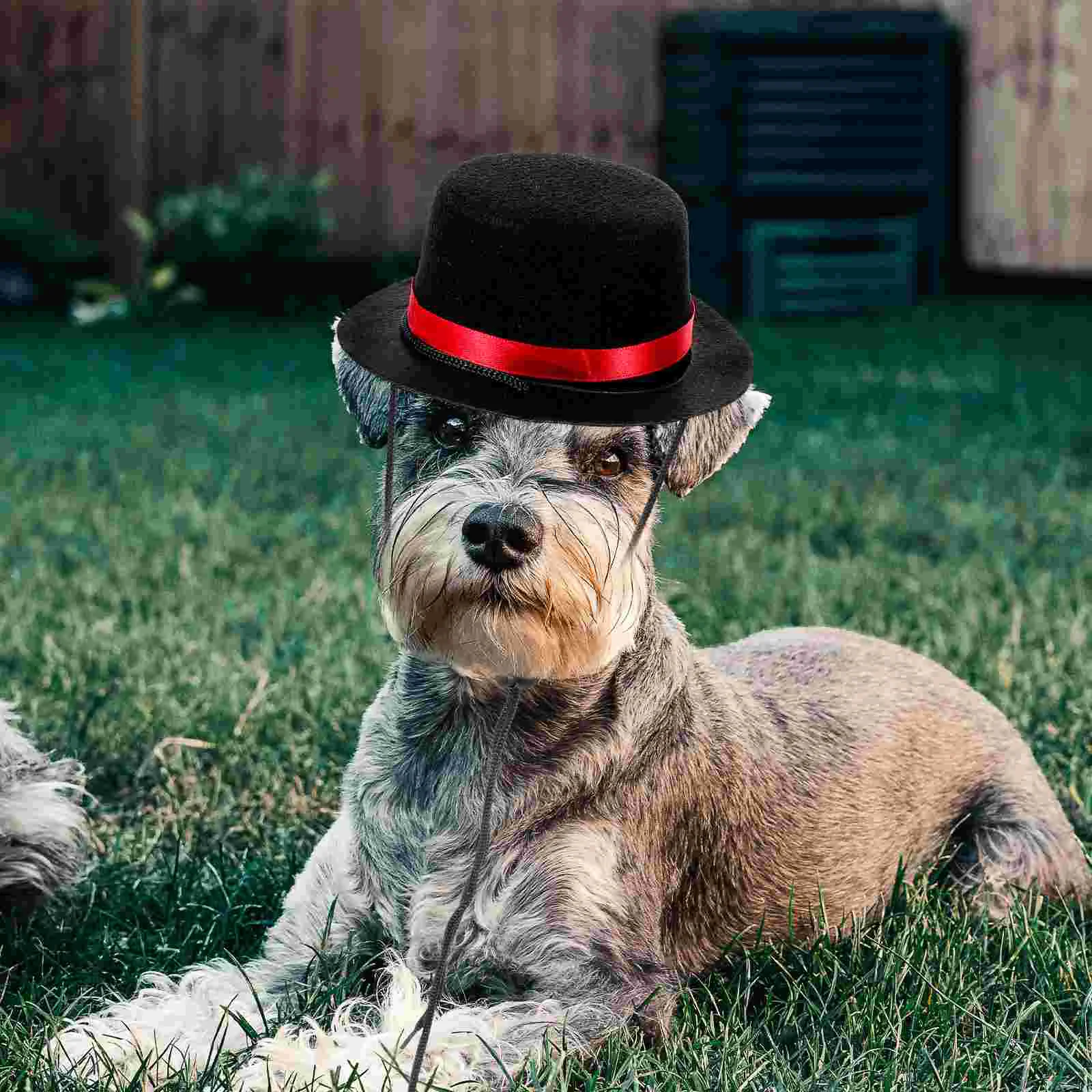 2pcs Pet Cosplay Hat Outdoor Cat Hat Party Festival Puppy Hat Pet Hat Decor Accessory
2pcs Pet Cosplay Hat Outdoor Cat Hat Party Festival Puppy Hat Pet Hat Decor Accessory