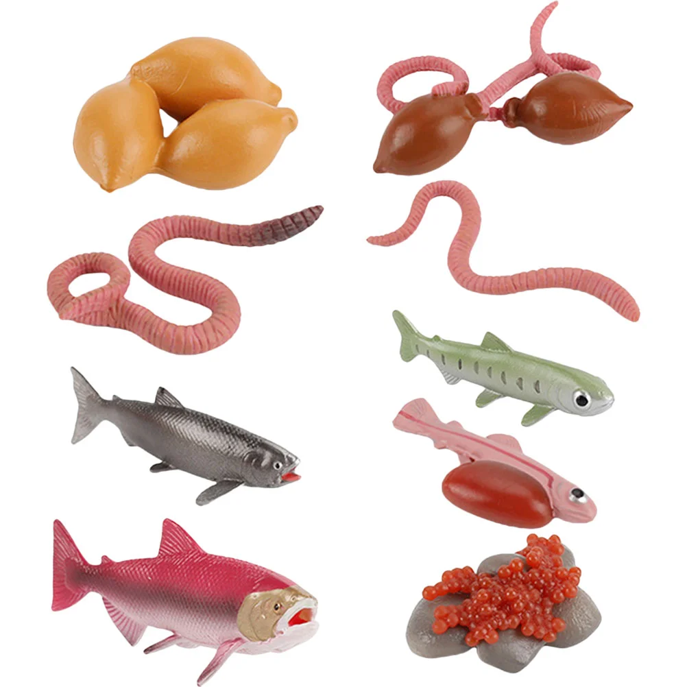 Cycle Toys Life Model Toy Growth Salmon Earthworm Animal Cognitive Figures Educational Kids Figurines Sea
Cycle Toys Life Model Toy Growth Salmon Earthworm Animal Cognitive Figures Educational Kids Figurines Sea