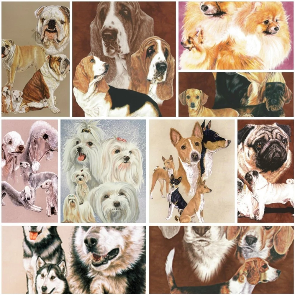 Алмазная живопись 5D «сделай сам», вышивка животными, собаками, картины, полный набор для вышивки крестиком, домашний декор, праздничные подарки
Алмазная живопись 5D «сделай сам», вышивка животными, собаками, картины, полный набор для вышивки крестиком, домашний декор, праздничные подарки