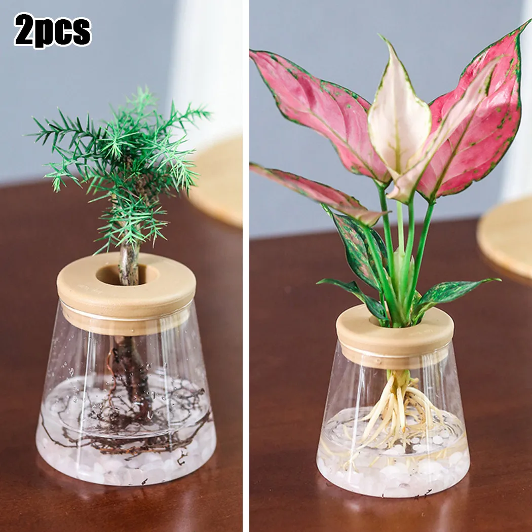 2Pcs Automatic Absorption Clear Flower Pot For No Soil To Grow Small Potted Plants Home Office Table Yard Garden Decor Supplies
2Pcs Automatic Absorption Clear Flower Pot For No Soil To Grow Small Potted Plants Home Office Table Yard Garden Decor Supplies