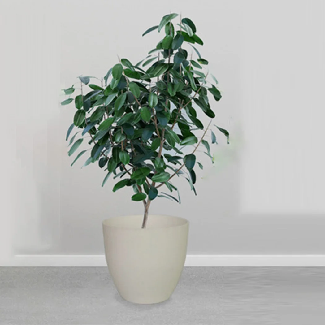 Nursery Flower Pot Plants Pots Succulent Decorative For Garden Gardening House Indoor Planter Planters Plastic
Nursery Flower Pot Plants Pots Succulent Decorative For Garden Gardening House Indoor Planter Planters Plastic