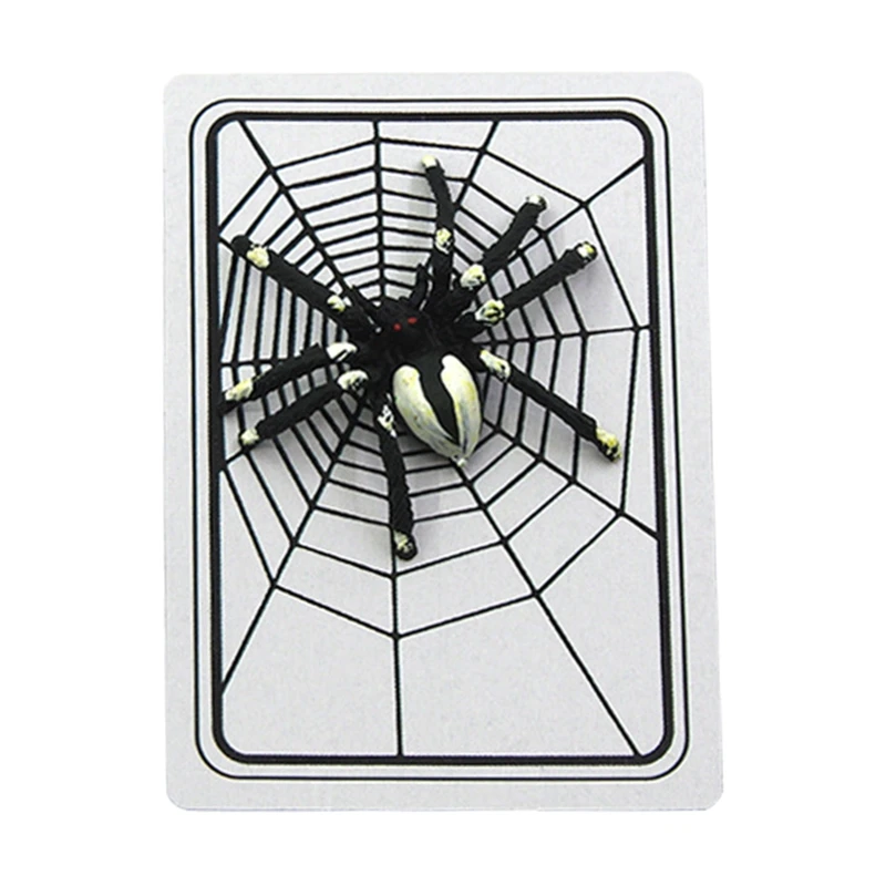 Magic Trick Spider&Net The Web Cards Toys Table Game Table Play Toy Brain Game Portable Multifunctional Creative Gift
Magic Trick Spider&Net The Web Cards Toys Table Game Table Play Toy Brain Game Portable Multifunctional Creative Gift