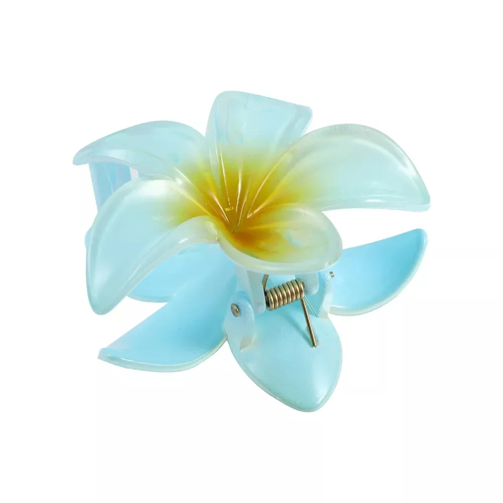 Hot And Fashion Hair Clip, Female Flower Narcissus Grab Clip, Half Tied Hair Headwear, Holiday Style Egg Flower Jewelry
Hot And Fashion Hair Clip, Female Flower Narcissus Grab Clip, Half Tied Hair Headwear, Holiday Style Egg Flower Jewelry