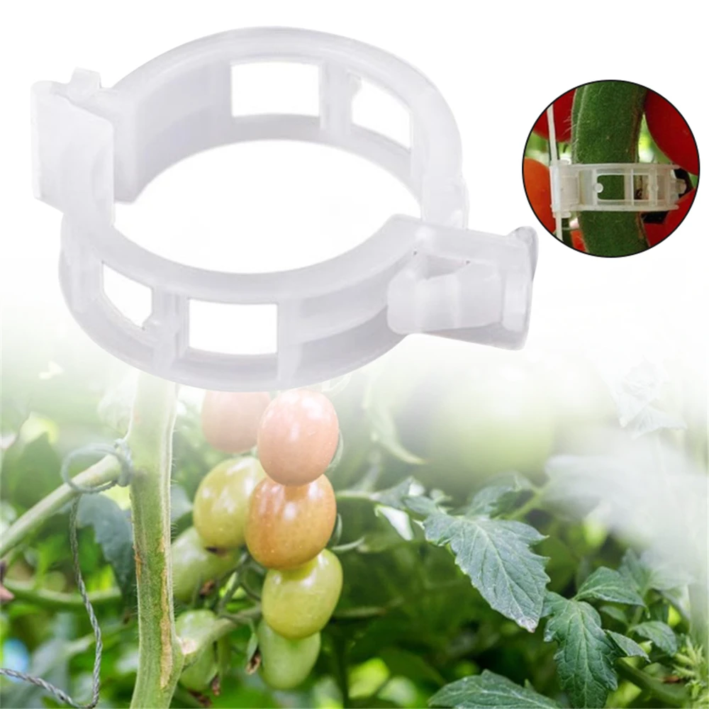 50pcs Fastern Plant Clips Buckle Hook Plastic Supports Connects Reusable Holder Gardening Supplies for Vegetable Tomato
50pcs Fastern Plant Clips Buckle Hook Plastic Supports Connects Reusable Holder Gardening Supplies for Vegetable Tomato