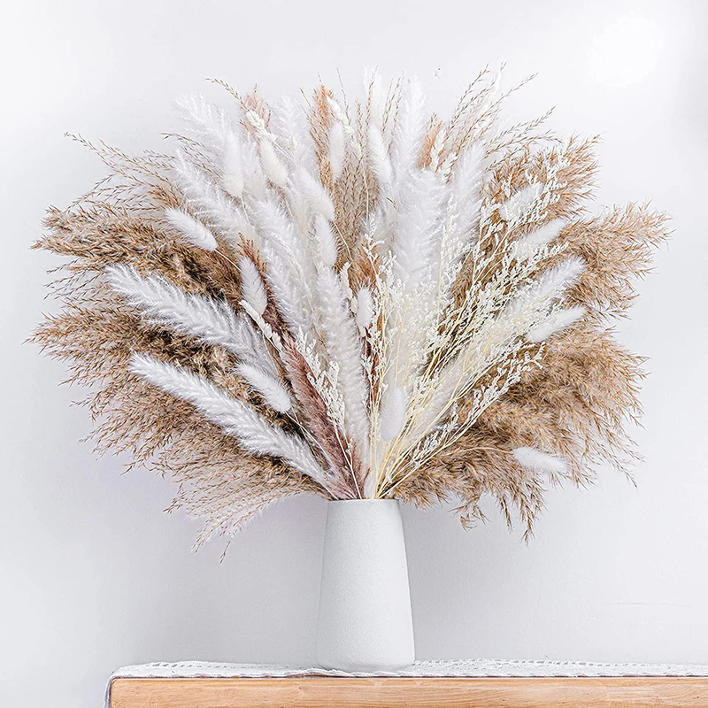 86PCS Natural Dried Pampas Grass Bouquet,Boho Home Decor Bouquet,Phragmites Dried Flowers for Wedding Floral Arrangements Decor
86PCS Natural Dried Pampas Grass Bouquet,Boho Home Decor Bouquet,Phragmites Dried Flowers for Wedding Floral Arrangements Decor