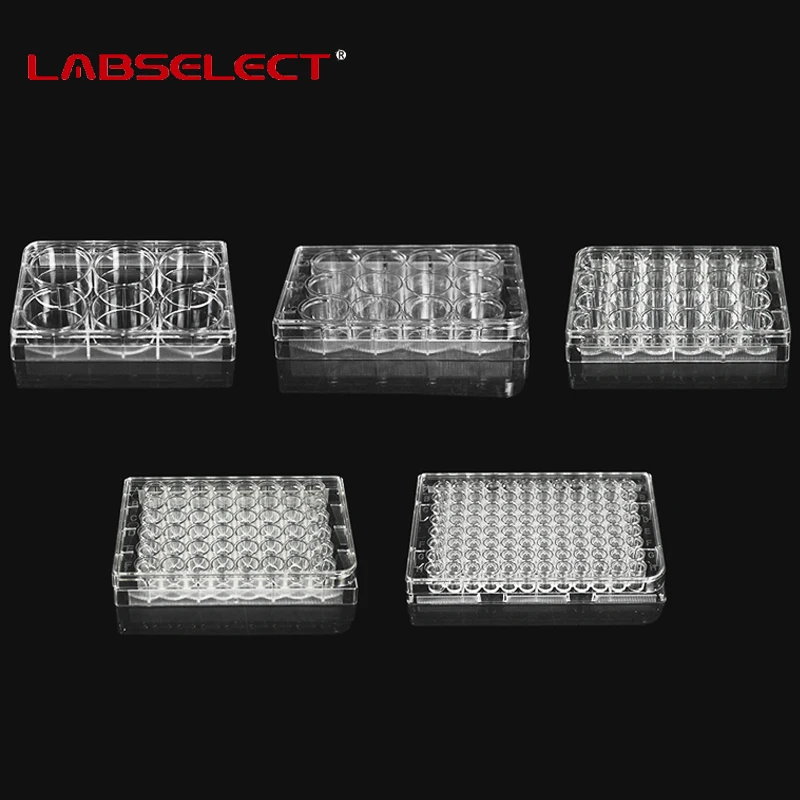 LABSELECT 5Pcs Cell Culture Plate 6/12/24/48/96-holes Bacterial Culture Plate Sterilization Packaging Lab Culture Plate
LABSELECT 5Pcs Cell Culture Plate 6/12/24/48/96-holes Bacterial Culture Plate Sterilization Packaging Lab Culture Plate