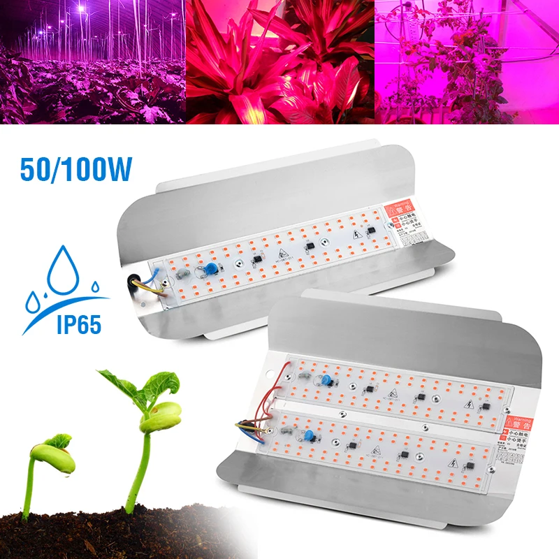 100W Grow Light Led Full Spectrum Lamp 50W 100W Led Plant Light Bulb Greenhouses Indoor Phyto Lamp Grow Tent Seeding Phyto Lamp
100W Grow Light Led Full Spectrum Lamp 50W 100W Led Plant Light Bulb Greenhouses Indoor Phyto Lamp Grow Tent Seeding Phyto Lamp