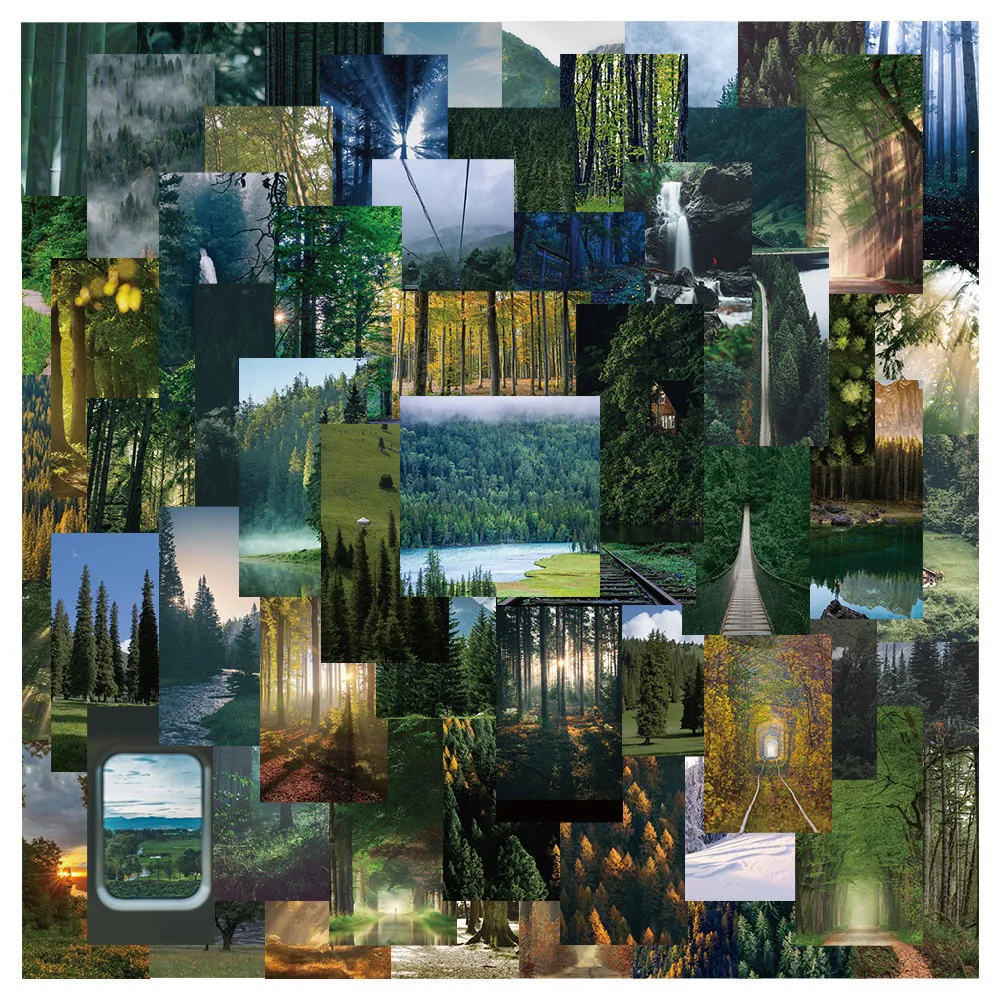 10/30/62PCS Healing Green Forest Landscape Sticker Waterproof notebook Luggage Suitcase Graffiti DIY Sticker Fun Gift
10/30/62PCS Healing Green Forest Landscape Sticker Waterproof notebook Luggage Suitcase Graffiti DIY Sticker Fun Gift