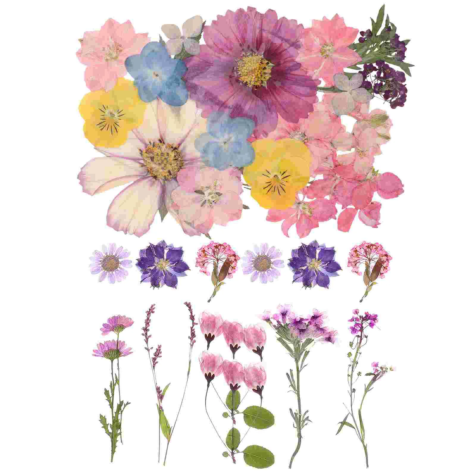 2 Sets Dried Flower Embossing Plants Crafts Flowers DIY Handicrafts Supplies Materials Specimen Embossed Decorative
2 Sets Dried Flower Embossing Plants Crafts Flowers DIY Handicrafts Supplies Materials Specimen Embossed Decorative