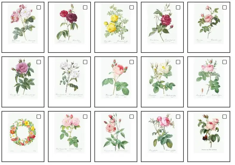 

Lot Style Choose Unframed Botanical Roses flower VINTAGE Art Picture Print Silk Poster Home Wall Decor