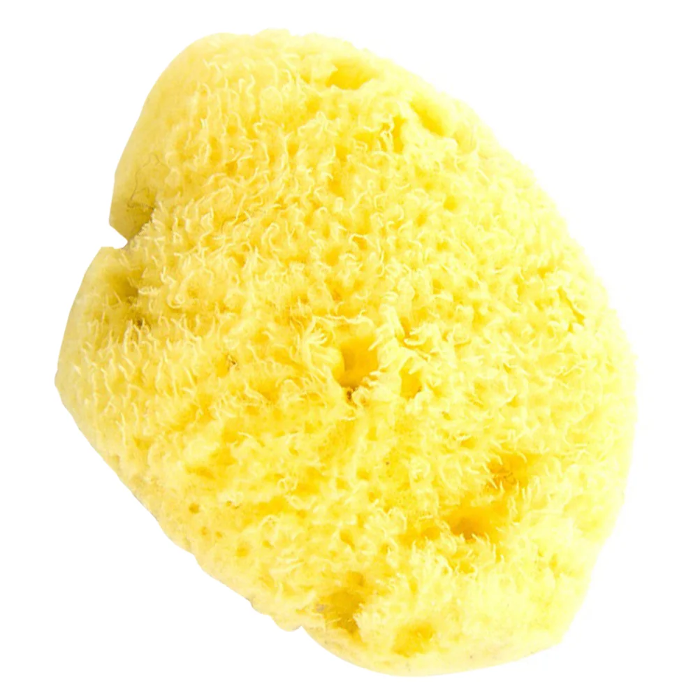 Sponge Sea Sponges Natural Painting Artist Greek Absorbing Pottery Wool Silk Bathing Shower Loofah Absorbent Sponging Craft
Sponge Sea Sponges Natural Painting Artist Greek Absorbing Pottery Wool Silk Bathing Shower Loofah Absorbent Sponging Craft