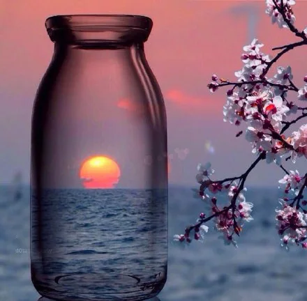 4298Ann-Tulip diy digital oil painting oil painting acrylic flower painting explosion hand-filled landscape painting
4298Ann-Tulip diy digital oil painting oil painting acrylic flower painting explosion hand-filled landscape painting