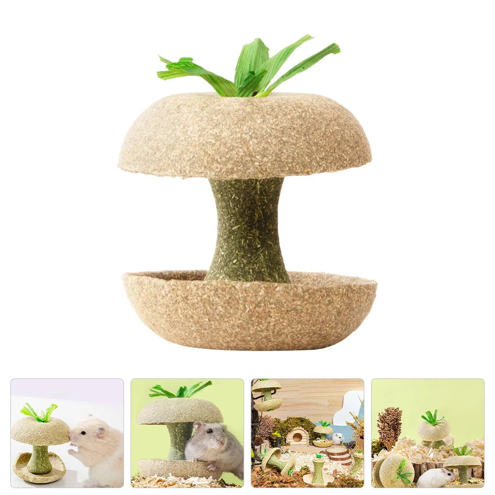 Toys Toy Chewing Hamster Chew Molar Small Grass Wooden Accessories Pets Animal Cake Bunny Wood Teeth Petguinea Gerbils
Toys Toy Chewing Hamster Chew Molar Small Grass Wooden Accessories Pets Animal Cake Bunny Wood Teeth Petguinea Gerbils