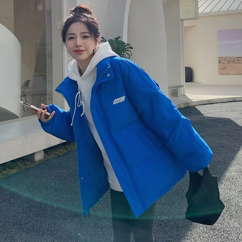 Winter Jacket Middle-aged mother's Clothing Hooded Parkas Loose Plus velvet Thick Winter Coat Female Warm Zipper Parka Outwear
Winter Jacket Middle-aged mother's Clothing Hooded Parkas Loose Plus velvet Thick Winter Coat Female Warm Zipper Parka Outwear