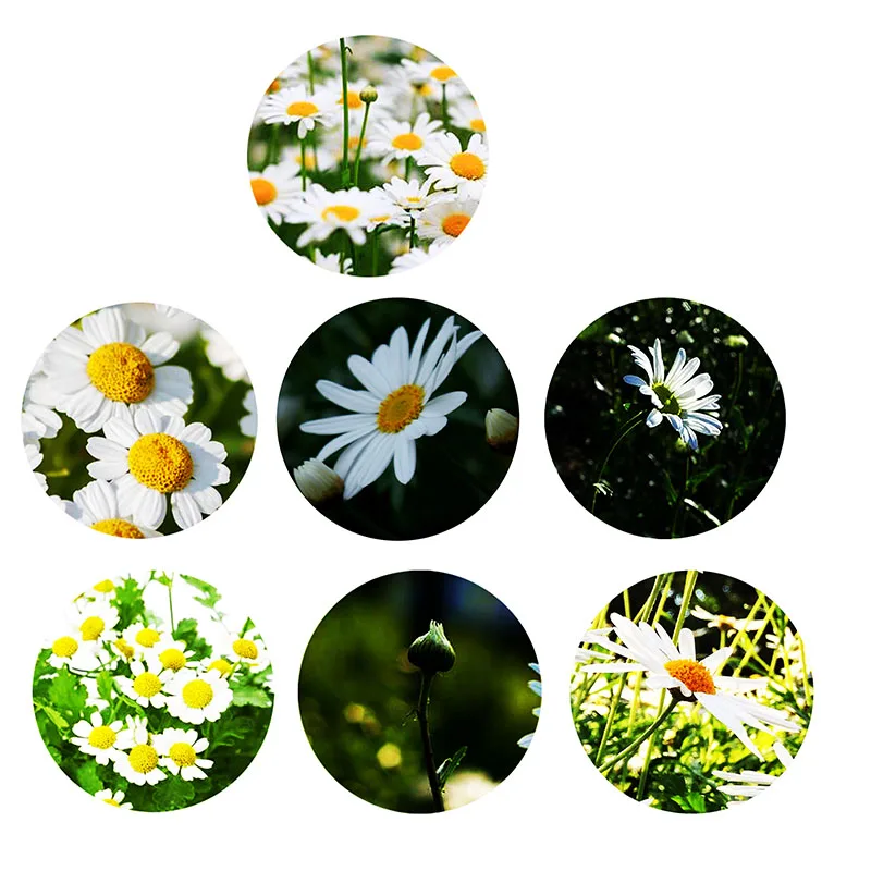 Ink painting flowers colorful10pcs 8mm/10mm/12mm/18mm/20mm/25mm Round photo glass cabochon demo flat back Making findings
Ink painting flowers colorful10pcs 8mm/10mm/12mm/18mm/20mm/25mm Round photo glass cabochon demo flat back Making findings