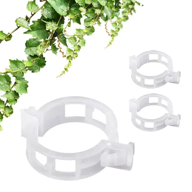 

Tomato Clips For String Trellis 100 Pcs Cucumber Clamps Crop Clips For Supporting Flower Vegetable Vine Twine Tomato Orchid To